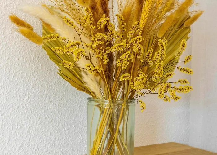 公寓 Inftour Apolo