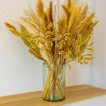 Appartement Inftour Apolo